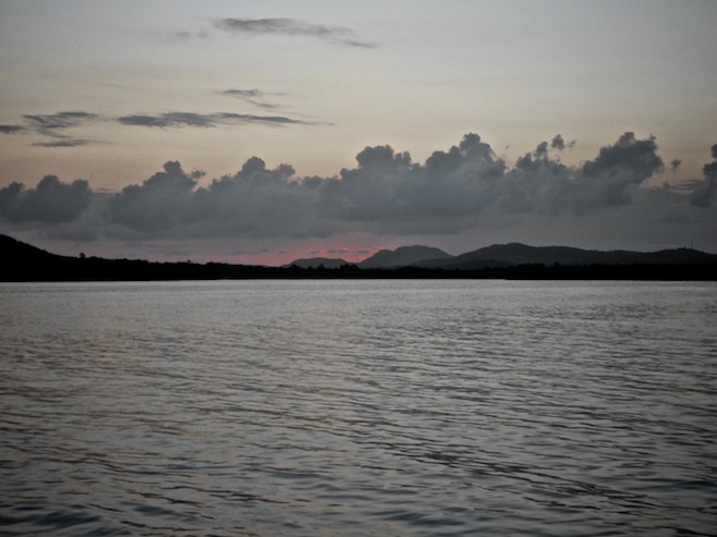 PR Bio Bay2